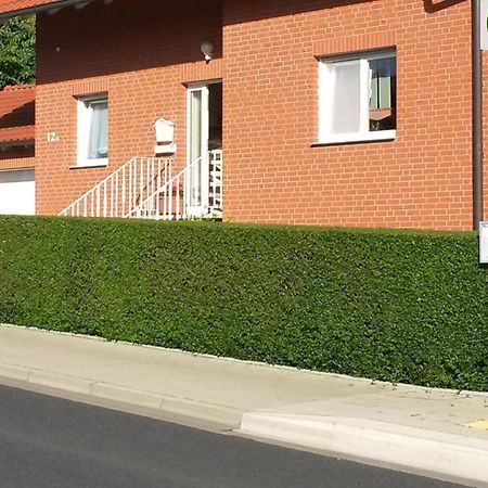 Apartment Mit Blick Auf Herkules Mit Parkplatz カッセル エクステリア 写真
